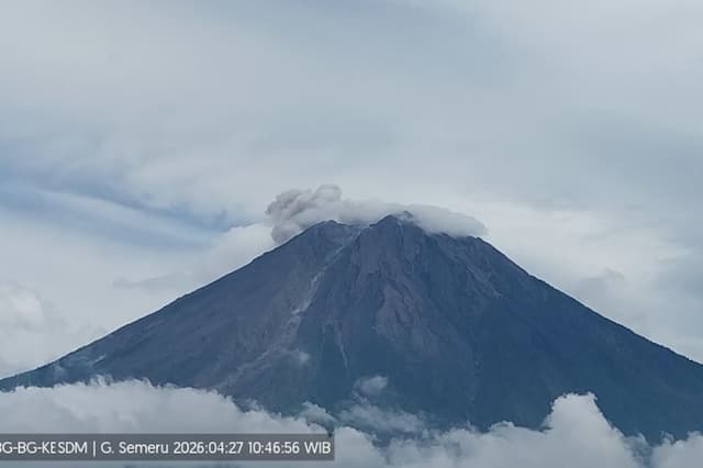 Gunung Semeru Meletus Siang Ini, Kolom Abu Capai 500 Meter ke Langit Gunung Semeru Meletus Siang Ini, Kolom Abu Capai 500 Meter ke Langit