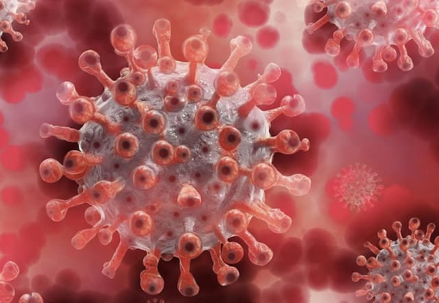 Bali hingga Jakarta Sudah Punya Antibodi Hantavirus, Ini Faktanya! Bali hingga Jakarta Sudah Punya Antibodi Hantavirus, Ini Faktanya!