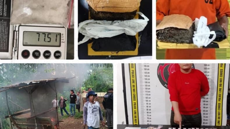 Operasi Besar Narkoba di Sumut, 342 Orang Ditangkap Termasuk Pengguna hingga Pengedar Operasi Besar Narkoba di Sumut, 342 Orang Ditangkap Termasuk Pengguna hingga Pengedar