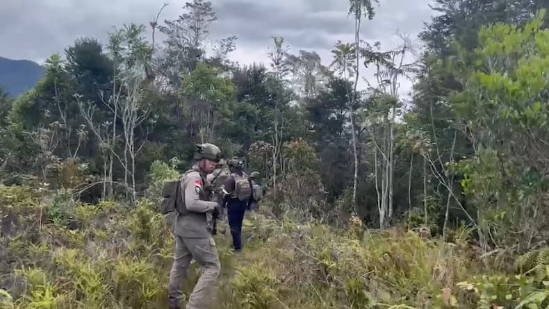 10 Pendulang Emas Tewas Diserang KKB, Aparat Evakuasi Korban dan Kejar Pelaku ke Hutan 10 Pendulang Emas Tewas Diserang KKB, Aparat Evakuasi Korban dan Kejar Pelaku ke Hutan