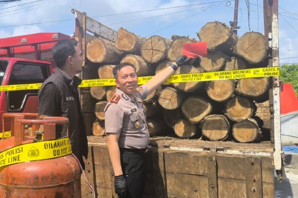 Polisi Bongkar Pembalakan Liar di Hutan Bojonegoro, 46 Batang Kayu Jati Disita Polisi Bongkar Pembalakan Liar di Hutan Bojonegoro, 46 Batang Kayu Jati Disita