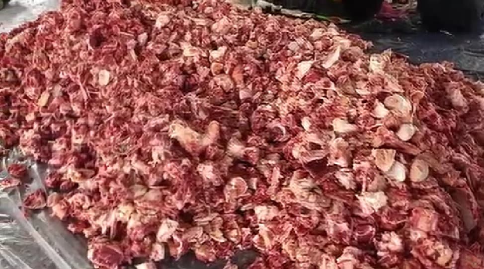 Desa Cikaso Kuningan Catat Rekor Kurban 28 Sapi, Daging Berlimpah Dibagikan ke Warga Desa Cikaso Kuningan Catat Rekor Kurban 28 Sapi, Daging Berlimpah Dibagikan ke Warga