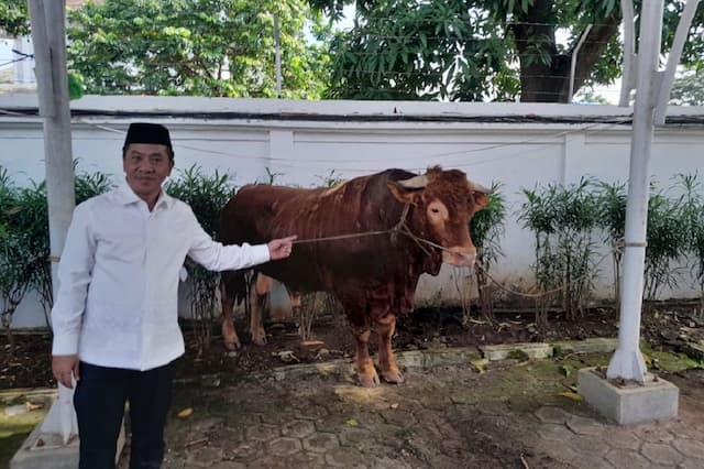 Penampakan Si Jalu, Sapi Kurban Presiden Prabowo Berbobot 1,2 Ton di Karawang Bikin Heboh Penampakan Si Jalu, Sapi Kurban Presiden Prabowo Berbobot 1,2 Ton di Karawang Bikin Heboh