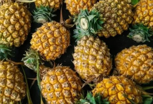 Ini 7 Manfaat Makan Nanas yang Harus Anda Ketahui Ini 7 Manfaat Makan Nanas yang Harus Anda Ketahui