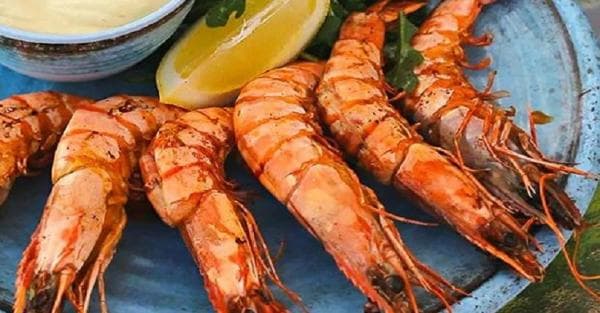 Kaya Nutrisi, Ini Manfaat Kesehatan yang Anda Rasakan Mengkonsumsi Udang Kaya Nutrisi, Ini Manfaat Kesehatan yang Anda Rasakan Mengkonsumsi Udang