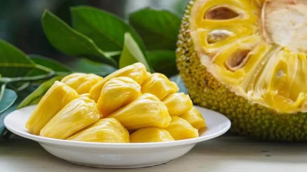 7 Manfaat Buah Nangka Untuk Hamil, Dijamin Aman dan Sehat! 7 Manfaat Buah Nangka Untuk Hamil, Dijamin Aman dan Sehat!