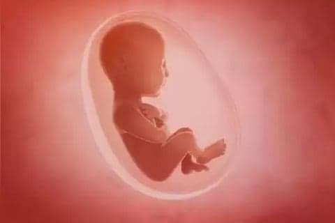 Waduh! Anak Laki-laki Usia 7 Bulan di India Mengandung Bayi 2 Kg, Kok Bisa? Waduh! Anak Laki-laki Usia 7 Bulan di India Mengandung Bayi 2 Kg, Kok Bisa?