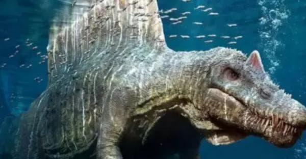 Apa itu Spinosaurus? Predator Kuat dan Ganas yang Ditemukan di Mesir Apa itu Spinosaurus? Predator Kuat dan Ganas yang Ditemukan di Mesir