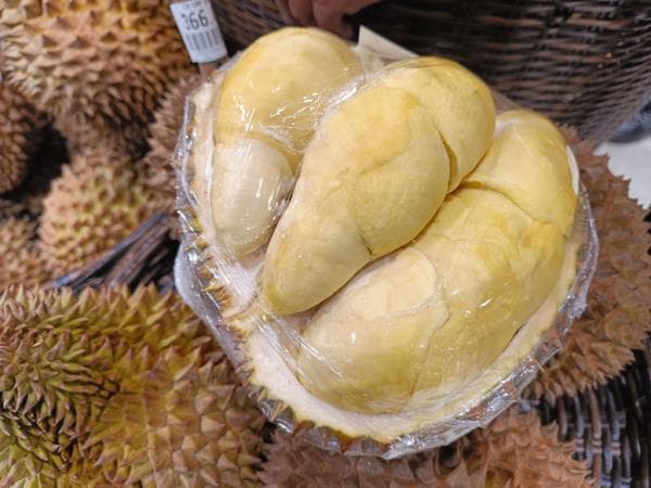 Nikmatnya Durian Montong dari Makassar Nikmatnya Durian Montong dari Makassar