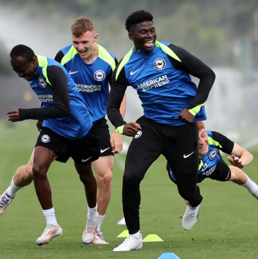 Prediksi Everton vs Brighton & Hove Albion di Liga Inggris Lengkap dengan Head to Head Prediksi Everton vs Brighton & Hove Albion di Liga Inggris Lengkap dengan Head to Head