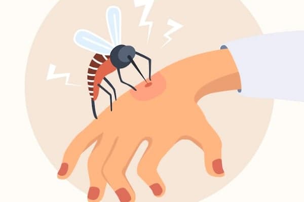 7 Contoh Simbiosis Parasitisme yang Sering Terjadi di Sekitar Kita 7 Contoh Simbiosis Parasitisme yang Sering Terjadi di Sekitar Kita