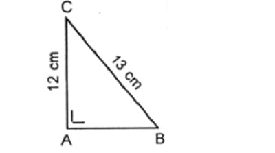 Rumus Luas Segitiga: Jenis, Cara Menghitung, dan Contoh Soalnya Rumus Luas Segitiga: Jenis, Cara Menghitung, dan Contoh Soalnya
