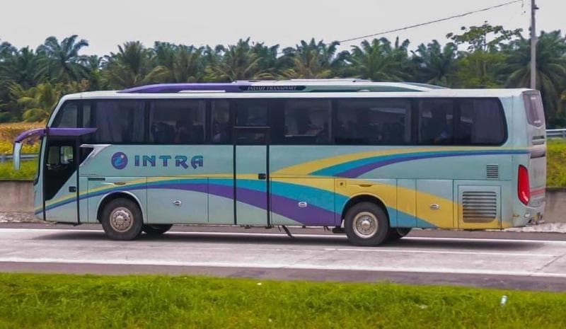 Kisah PO Bus Intra Lintasi Jalan Dipakai Pesta Warga di Sumatera, Sopir Dikejar Massa Kisah PO Bus Intra Lintasi Jalan Dipakai Pesta Warga di Sumatera, Sopir Dikejar Massa