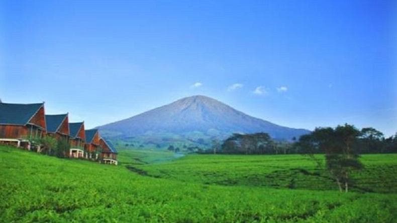 Deretan Gunung di Sumatera Selatan, Tersebar di 8 Kabupaten Kota Deretan Gunung di Sumatera Selatan, Tersebar di 8 Kabupaten Kota