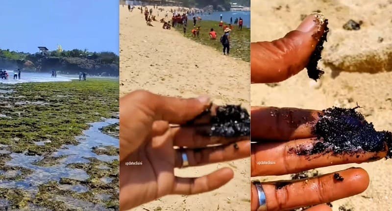 Viral, Muncul Limbah Hitam Misterius di Pantai Krakal Gunungkidul, Wisatawan Diminta Hati-Hati Viral, Muncul Limbah Hitam Misterius di Pantai Krakal Gunungkidul, Wisatawan Diminta Hati-Hati