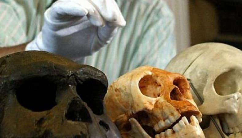 Berikut 4 Teori Asal-Usul Nenek Moyang Bangsa Indonesia Berikut 4 Teori Asal-Usul Nenek Moyang Bangsa Indonesia