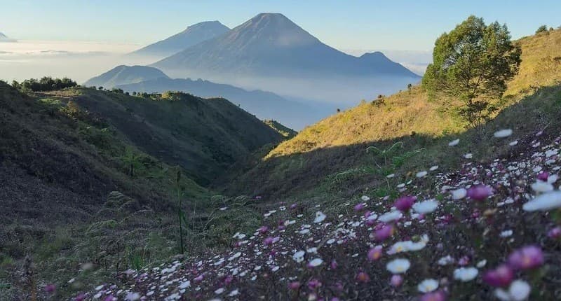 Tempat Paling Indah di Jawa Tengah Bisa Lihat 5 Puncak Gunung, seperti Ini Suasananya! Tempat Paling Indah di Jawa Tengah Bisa Lihat 5 Puncak Gunung, seperti Ini Suasananya!
