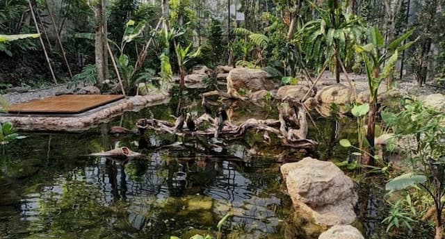 Viral Wisata Animalium BRIN di Cibinong, Unik Bisa Lihat Kehidupan Satwa!