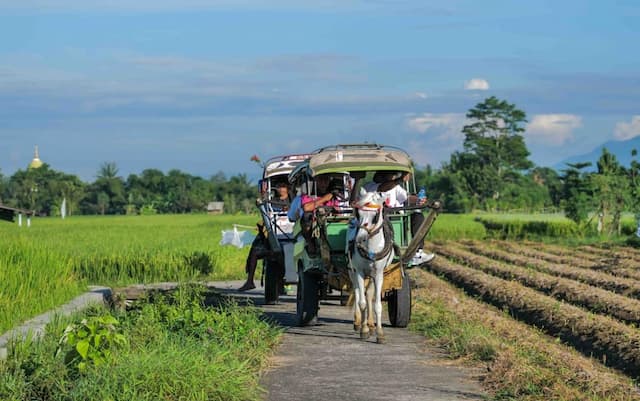 9 Rekomendasi Destinasi Desa Wisata yang Menarik Dikunjungi saat Libur Nataru 9 Rekomendasi Destinasi Desa Wisata yang Menarik Dikunjungi saat Libur Nataru