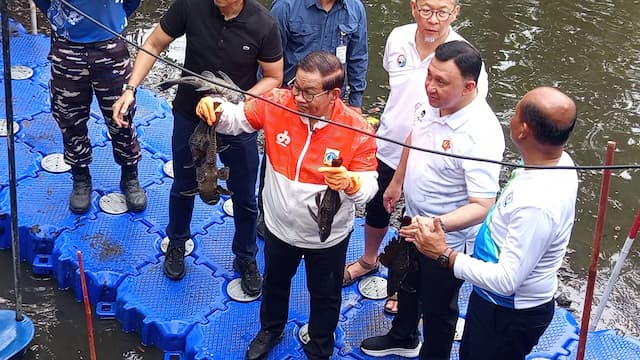 Buru Ikan Sapu-Sapu di Aliran Kali Jakut, Total Tangkapan 200 Kg! Buru Ikan Sapu-Sapu di Aliran Kali Jakut, Total Tangkapan 200 Kg!