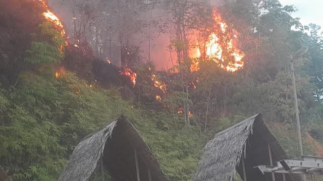 BNPB : 379,76 Hektare Lahan di Kalteng Terbakar sejak Januari 2026 BNPB : 379,76 Hektare Lahan di Kalteng Terbakar sejak Januari 2026