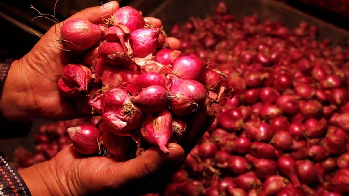 Bareskrim Polri Sita 23 Ton Bawang dan Cabai Impor Ilegal di Pontianak Bareskrim Polri Sita 23 Ton Bawang dan Cabai Impor Ilegal di Pontianak