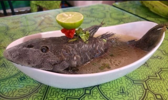 Bahaya Konsumsi Ikan Sapu-sapu bagi Kesehatan Bahaya Konsumsi Ikan Sapu-sapu bagi Kesehatan