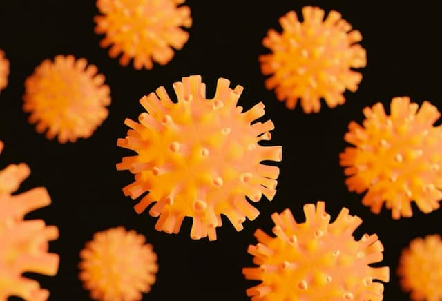 Gejala Hantavirus Mirip Flu tapi Bisa Membahayakan Paru-Paru Gejala Hantavirus Mirip Flu tapi Bisa Membahayakan Paru-Paru