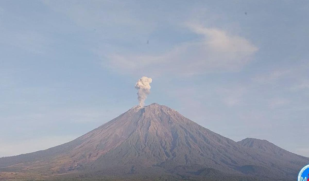 Gunung Semeru Meletus, Muntahkan Abu Vulkanik Sejauh 600 Meter Gunung Semeru Meletus, Muntahkan Abu Vulkanik Sejauh 600 Meter