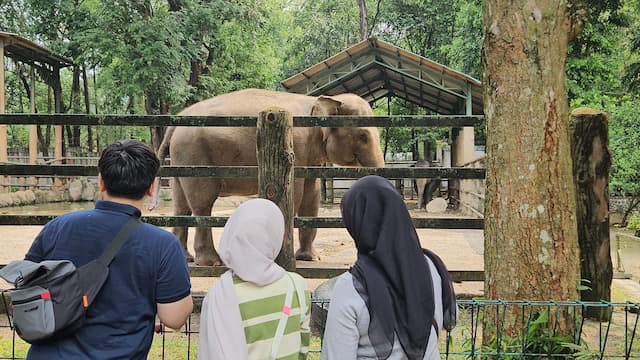Long Weekend, Ragunan Dipadati 13 Ribu Pengunjung Long Weekend, Ragunan Dipadati 13 Ribu Pengunjung