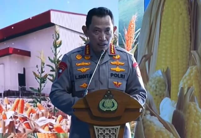 Di Hadapan Presiden Prabowo, Kapolri Paparkan Hasil Panen Raya Jagung Di Hadapan Presiden Prabowo, Kapolri Paparkan Hasil Panen Raya Jagung