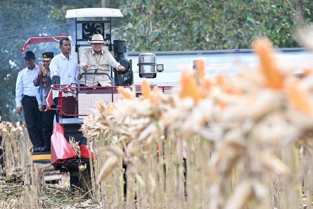 Momen Prabowo Naik Traktor Pimpin Panen Raya Jagung di Tuban, Pakai Topi Koboi! Momen Prabowo Naik Traktor Pimpin Panen Raya Jagung di Tuban, Pakai Topi Koboi!