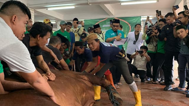 Masjid Istiqlal Tiadakan Pembagian Daging Kurban Langsung saat Iduladha 1447 H Masjid Istiqlal Tiadakan Pembagian Daging Kurban Langsung saat Iduladha 1447 H
