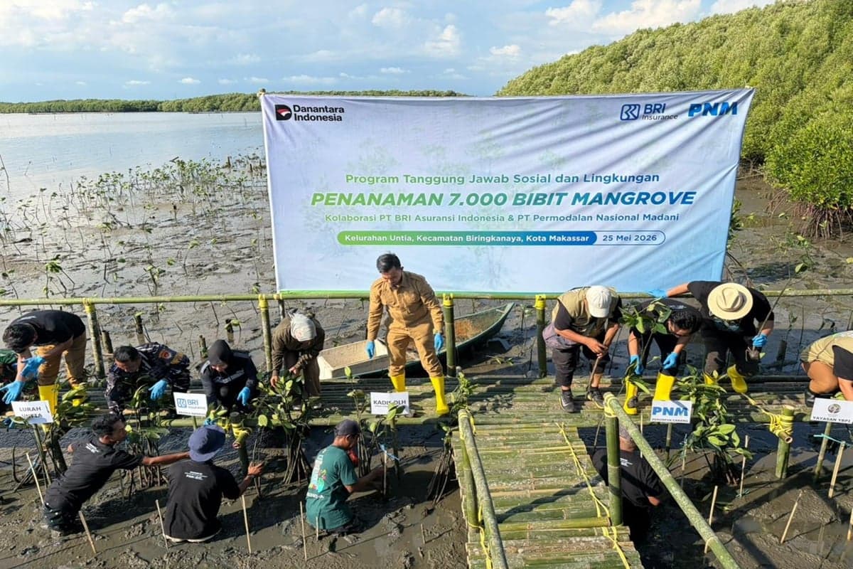 BRI Insurance dan PNM Tanam 7.000 Mangrove di Makassar BRI Insurance dan PNM Tanam 7.000 Mangrove di Makassar