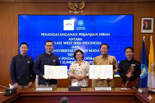 Jaga Ketahanan Pangan, UGM-Ewindo Kembangkan Bank Sayuran Jaga Ketahanan Pangan, UGM-Ewindo Kembangkan Bank Sayuran