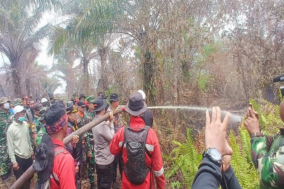 Polres Pelalawan Tangkap Pelaku Karhutla di Teluk Meranti, Bakar Lahan 500 Hektare Polres Pelalawan Tangkap Pelaku Karhutla di Teluk Meranti, Bakar Lahan 500 Hektare