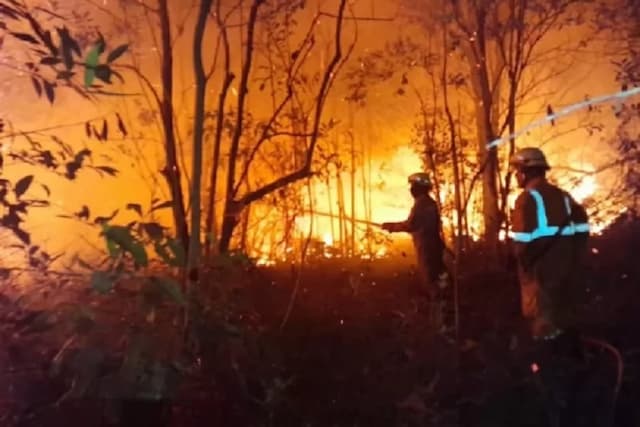 BNPB Catat 379,76 Hektare Lahan di Kalteng Dilanda Kebakaran Sejak Januari 2026 BNPB Catat 379,76 Hektare Lahan di Kalteng Dilanda Kebakaran Sejak Januari 2026