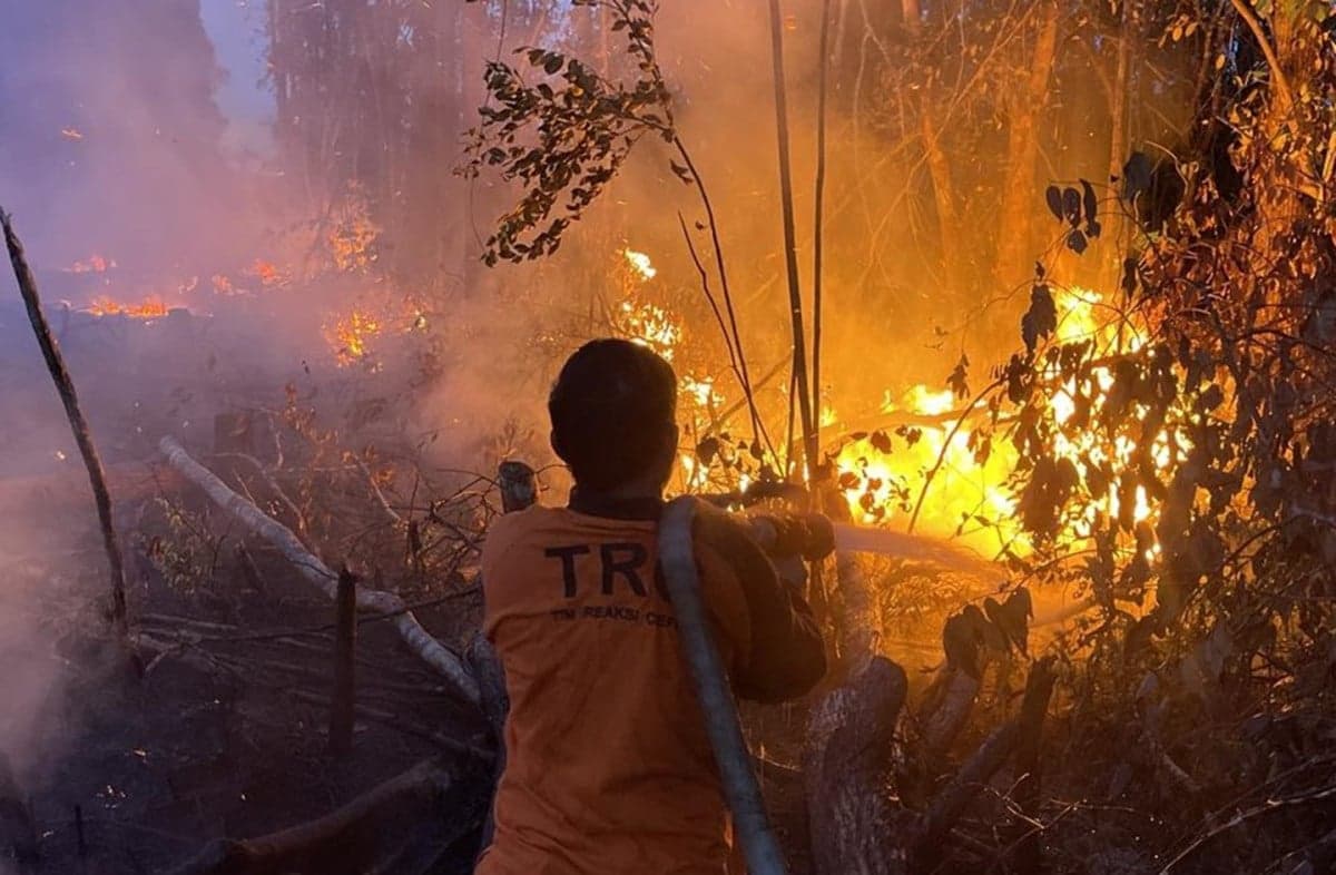 Karhutla di Kutai Barat, 1 Hektare Lahan Perkebunan Terbakar Karhutla di Kutai Barat, 1 Hektare Lahan Perkebunan Terbakar