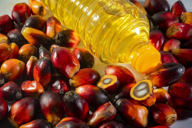 Kemasan Plastik Picu Kenaikan Harga Minyak Goreng Kemasan Plastik Picu Kenaikan Harga Minyak Goreng