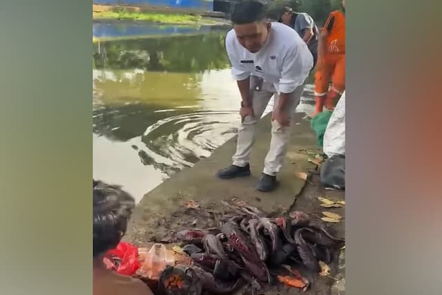 Satpol PP Tangkap 5 Penjual Daging Ikan Sapu-sapu di Bantaran Kali Jakpus Satpol PP Tangkap 5 Penjual Daging Ikan Sapu-sapu di Bantaran Kali Jakpus