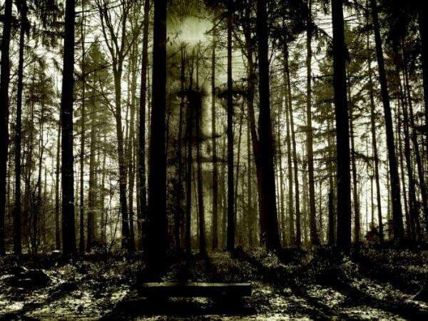 Cerita Asli KKN di Desa Penari dari Akun Twitter Simple Man, Lebih Bikin Merinding Cerita Asli KKN di Desa Penari dari Akun Twitter Simple Man, Lebih Bikin Merinding