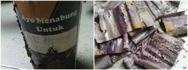 Bongkar celengan beli motor, cewek ini syok uangnya di makan rayap Bongkar celengan beli motor, cewek ini syok uangnya di makan rayap