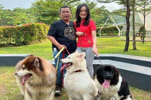 Hotman Paris Jalan Sore dengan Aspri 53, Netizen Tanya soal Holywings Hotman Paris Jalan Sore dengan Aspri 53, Netizen Tanya soal Holywings