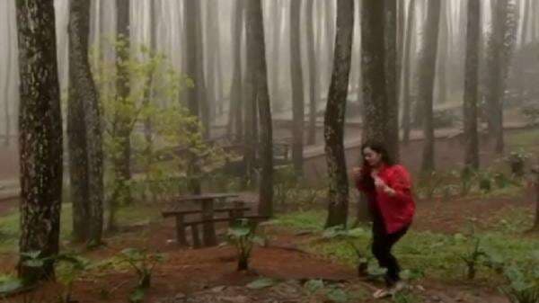 5 Tempat Wisata Hutan Pinus di Yogyakarta, Dijamin Instagrammable 5 Tempat Wisata Hutan Pinus di Yogyakarta, Dijamin Instagrammable