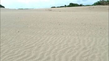 Dijuluki Sahara Van Garut, Intip Pesona Gurun Pasir Tungtung Karang Memanjakan Mata Dijuluki Sahara Van Garut, Intip Pesona Gurun Pasir Tungtung Karang Memanjakan Mata