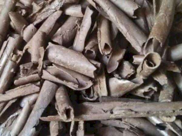 Kue Ampo Camilan Unik Khas Tuban dari Tanah Liat, Berani Coba? Kue Ampo Camilan Unik Khas Tuban dari Tanah Liat, Berani Coba?