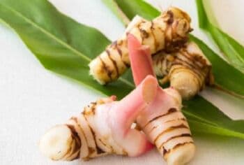 9 Manfaat Lengkuas untuk Kesehatan, Nomo 3 Bikin Bahagia Kaum Pria 9 Manfaat Lengkuas untuk Kesehatan, Nomo 3 Bikin Bahagia Kaum Pria