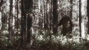 Misteri Bigfoot, Apakah Makhluk Legendaris Itu Benar-Benar Ada? Misteri Bigfoot, Apakah Makhluk Legendaris Itu Benar-Benar Ada?