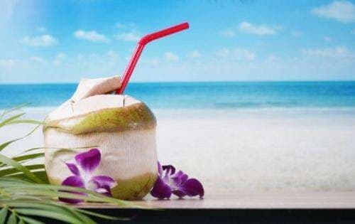 Manfaat Minum Air Kelapa Muda Menurunkan Kolesterol dan Tekanan Darah Tinggi Manfaat Minum Air Kelapa Muda Menurunkan Kolesterol dan Tekanan Darah Tinggi