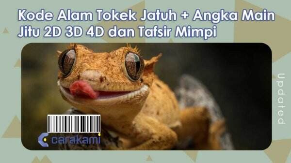 17+ Kode Alam Tokek Jatuh + Angka Main Jitu 2D 3D 4D dan Tafsir Mimpi 17+ Kode Alam Tokek Jatuh + Angka Main Jitu 2D 3D 4D dan Tafsir Mimpi